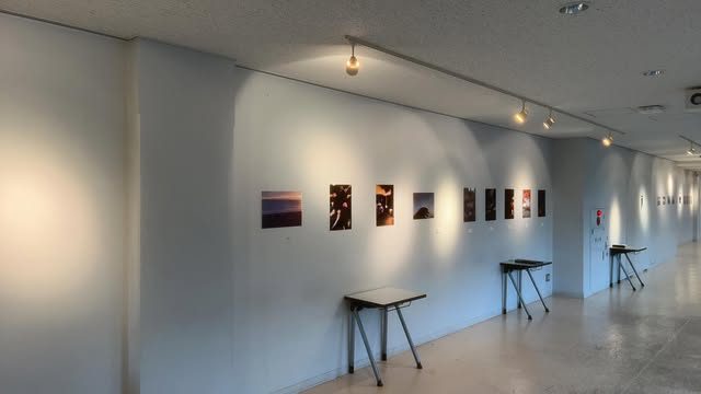 大学祭の展示会場。白い壁に作品が並ぶ