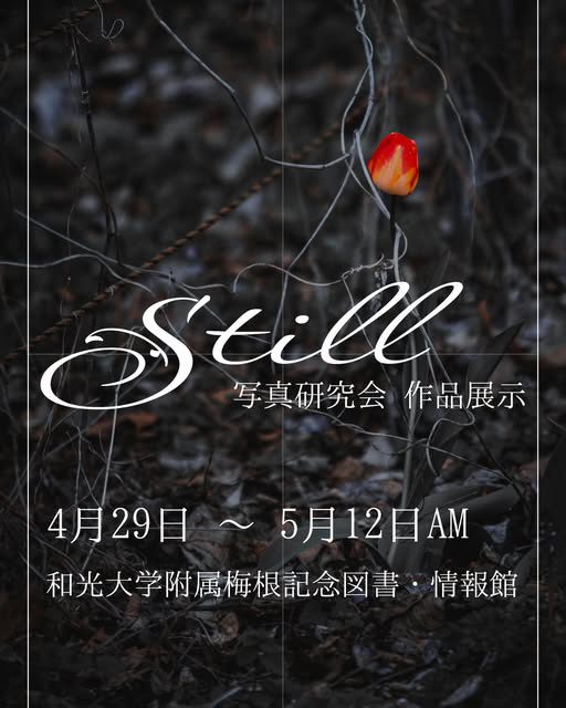 作品展示「Still」のポスター